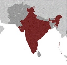 India Coffee Profile