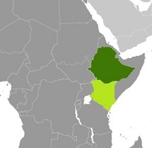 Africa Coffee Profile